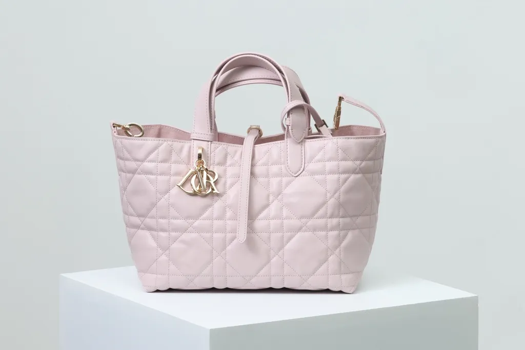 Dior Bag 